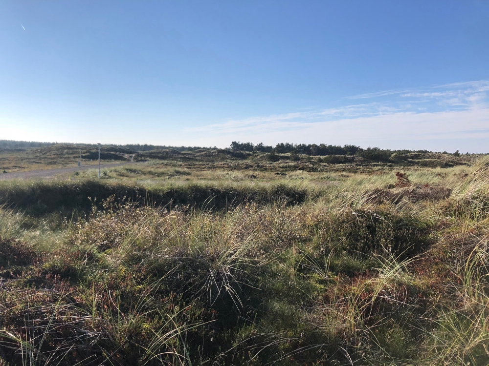 Byggegrund Thisted: Natur, hav og lokalsamfund