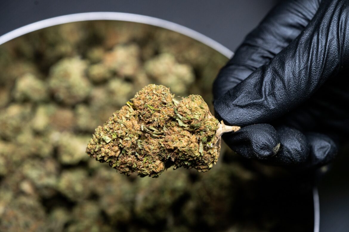 CBD produkter du burde kende til: En introduktion til lovlig CBD og HHC-P